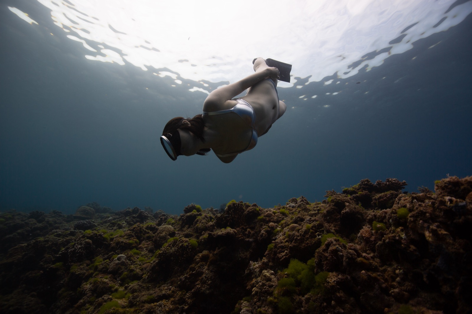 Freediving photography in open water around Xiaoliuqiu
