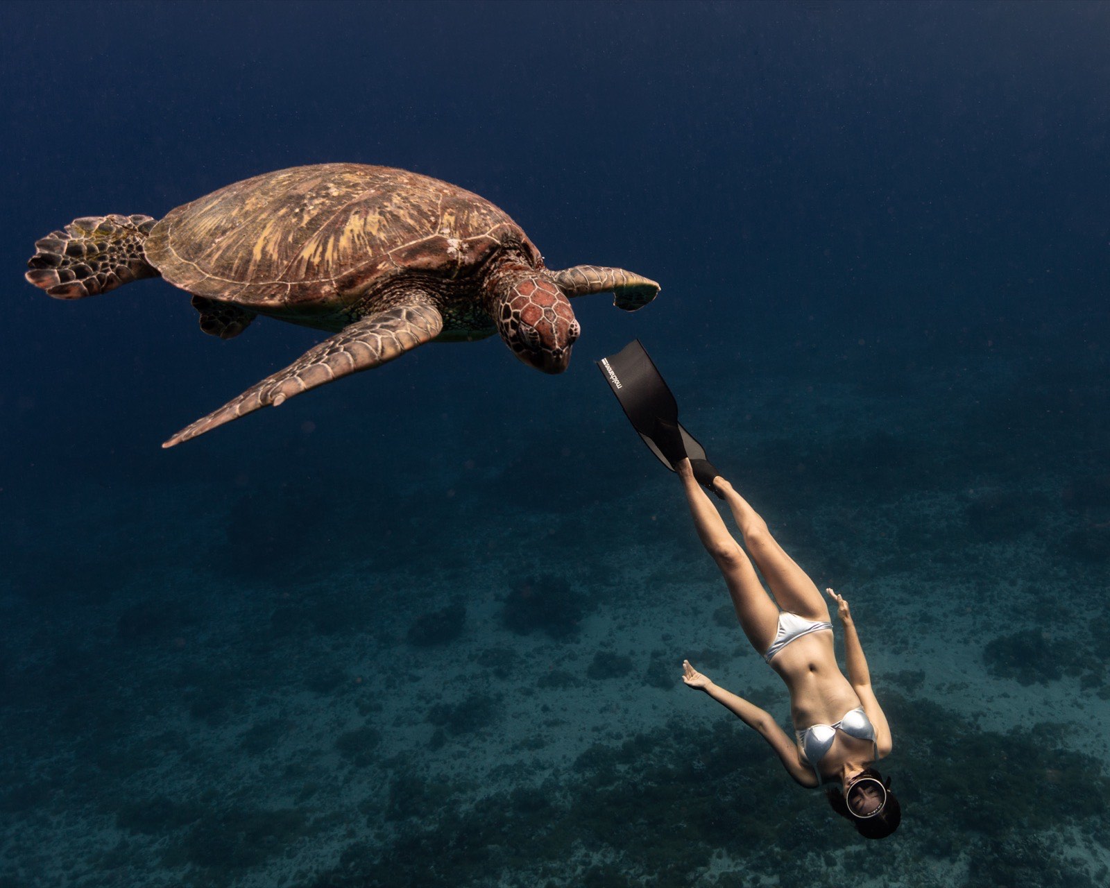 A freediver swimming above the reef alongside a sea turtle at Xiaoliuqiu