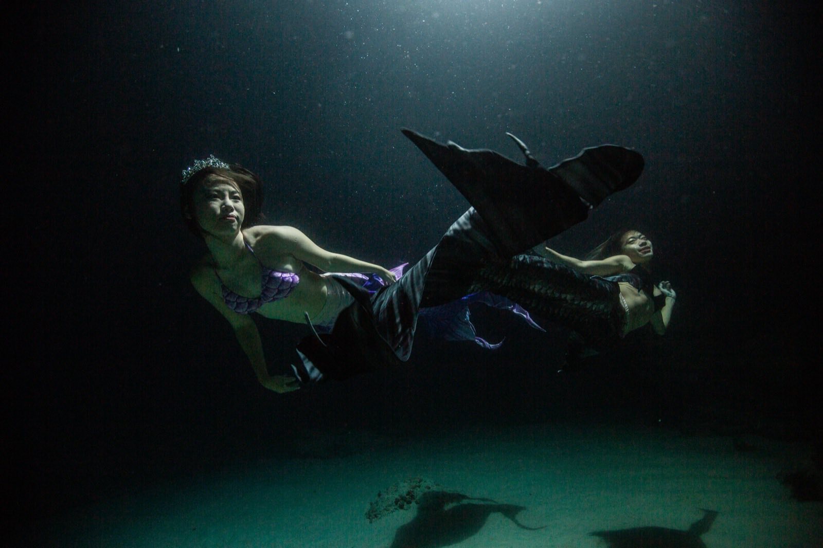 Freediving and mermaid photography in an indoor pool